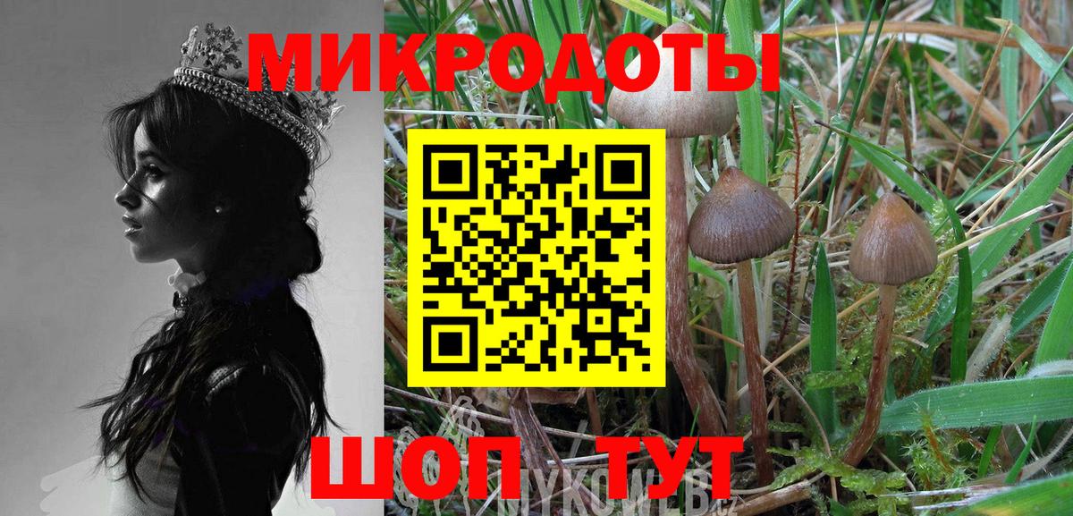Псилоцибиновые грибы Psilocybine cubensis  Вход с VPN  Усинск 