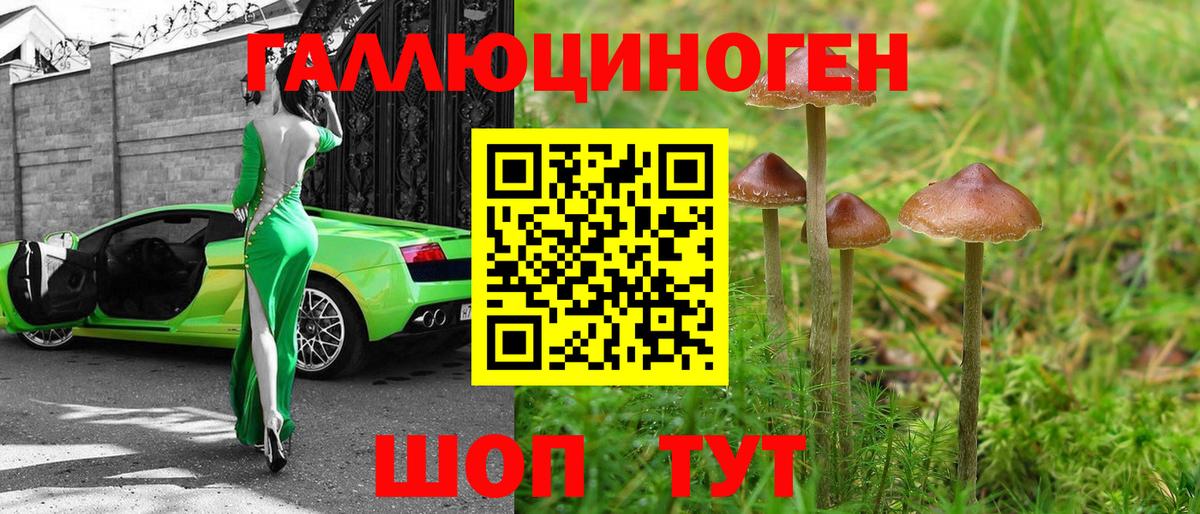 Псилоцибиновые грибы мухоморы Усинск